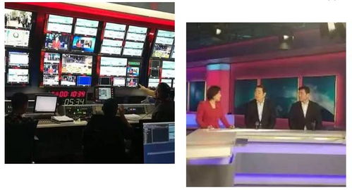 龙江秋色映绿意 新时代下中国绿色食品产业的营销变革与信息化启航